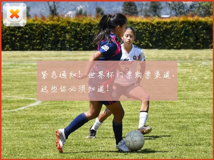紧急通知！世界杯门票购票渠道，这些你必须知道！